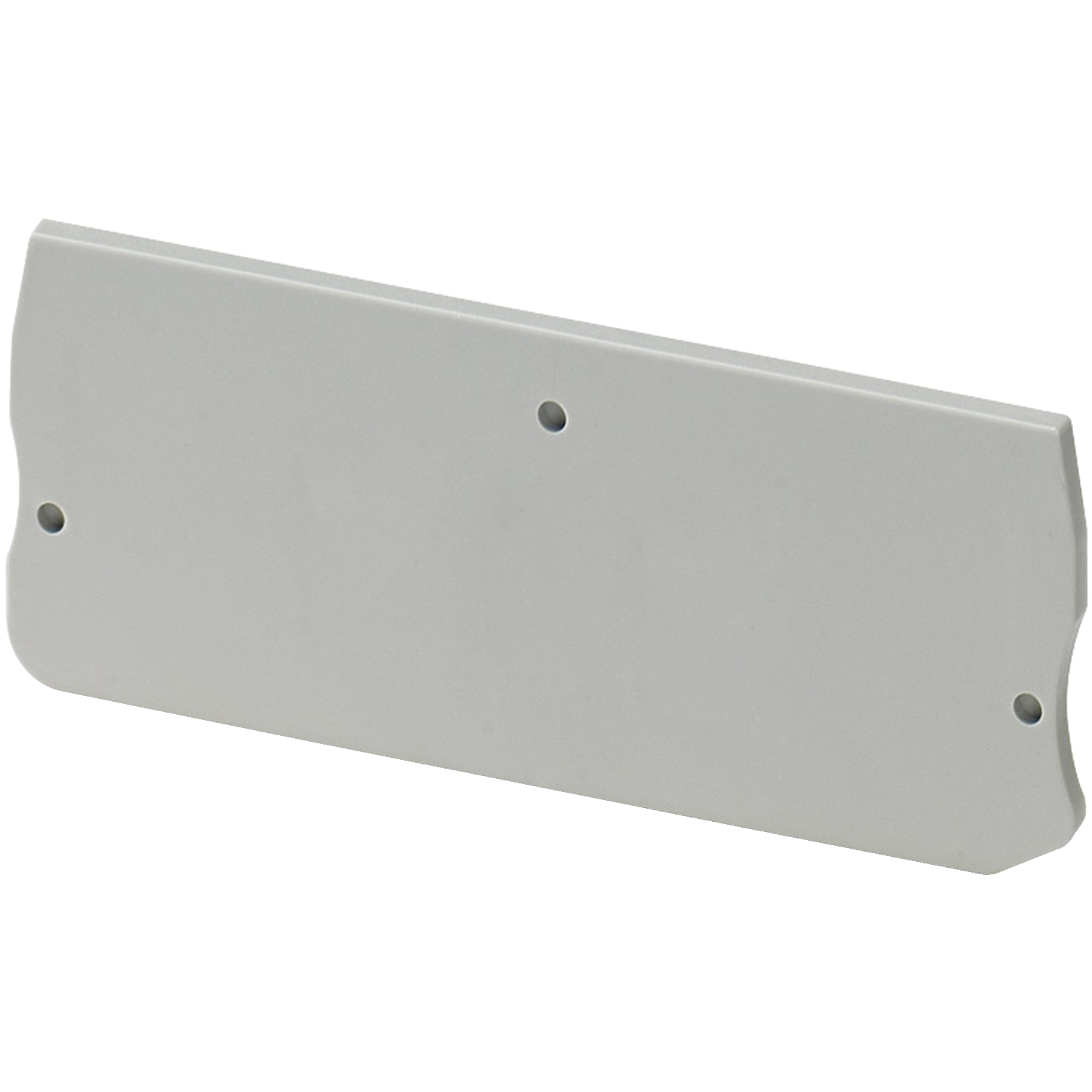 Cloison extremité 2 pts largeur 22mm pour borne push-in sectionable NSYTRP22SC