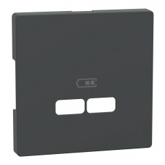 D-Life - enjoliveur pour prise USB - anthracite