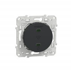 Odace - répéteur wifi- 300Mb/s 2.4 GHz - 2 mod - bornier vis - anthracite