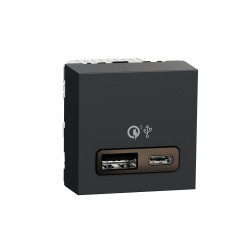 Unica - prise chargeur USB double - rapide 18W - 3,4A type A+C - 2 mod - anthra