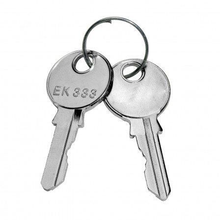 Jeu de 2 clés N°333