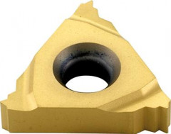 Plaquette à fileter A 60°profil plein TN16 EL 100 M U 9035