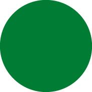 Chasse-goupilles exclusif6mm vert 