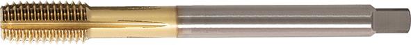 Taraud à refouler DIN371 TiN forme C M10 