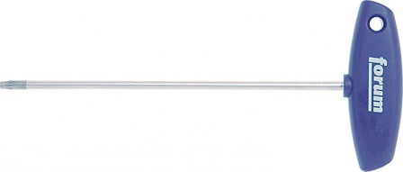 Tournevis Torx manche T T 25x100mm 