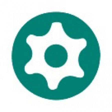 tournevis s1 resistorx jeu de 5