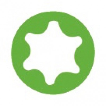 tournevis s1 torx module de 7