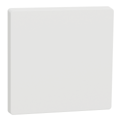 Enjoliveur blanc mat