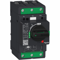 Disjoncteur 115A 25kA
