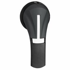 POIG EXT LAT DROITE 100..400A IP65 NOIRE
