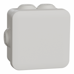 Mureva Box - boite de dérivation avec embouts - 80x80x45 - IP55 - blanc polaire