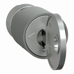 PrismaSeT G - Bloc serrure combinaison 455