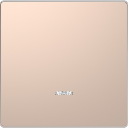 D-Life - enjoliveur pour commande simple avec voyant - métal champagne