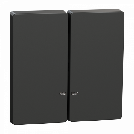 D-Life - enjoliveur pour commande double avec voyant - anthracite