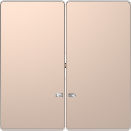 D-Life - enjoliveur pour commande double avec voyant - métal champagne