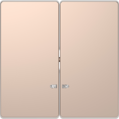 D-Life - enjoliveur pour commande double avec voyant - métal champagne