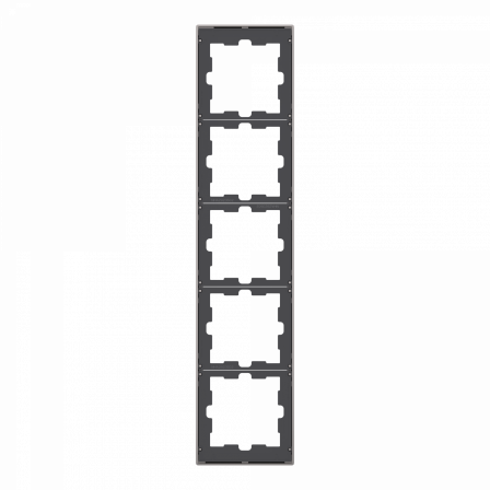 D-Life - cadre de finition - métal - nickel - 5 postes