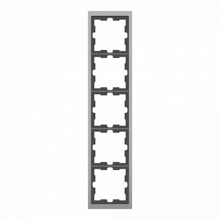 D-Life - cadre de finition - métal - nickel - 5 postes