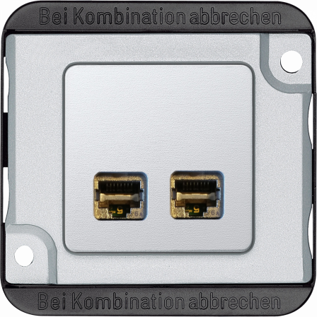 Anti-vandalisme - prise de communication double RJ45 - cat.6 A - IK08/IP20