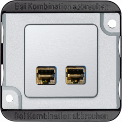 Anti-vandalisme - prise de communication double RJ45 - cat.6 A - IK08/IP20