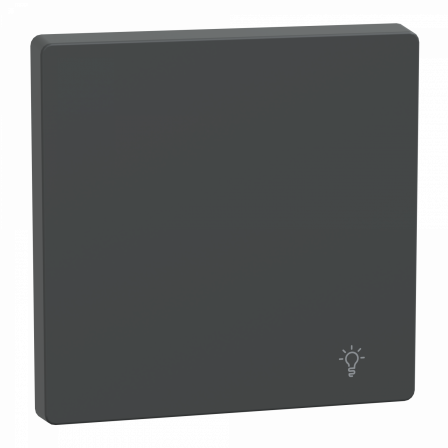 D-Life - enjoliveur pour commande simple avec picto lampe - anthracite