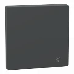 D-Life - enjoliveur pour commande simple avec picto lampe - anthracite