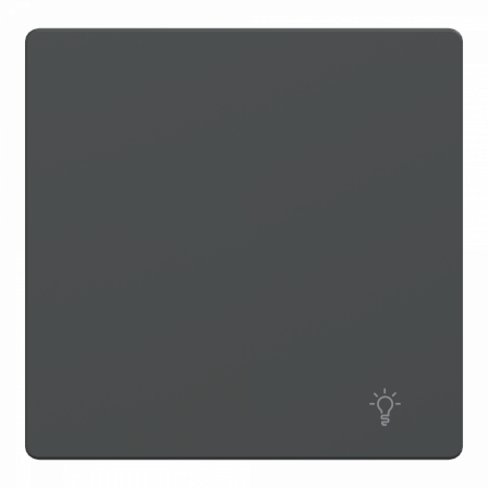 D-Life - enjoliveur pour commande simple avec picto lampe - anthracite