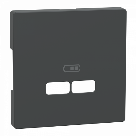 D-Life - enjoliveur pour prise USB - anthracite