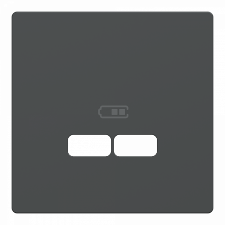 D-Life - enjoliveur pour prise USB - anthracite