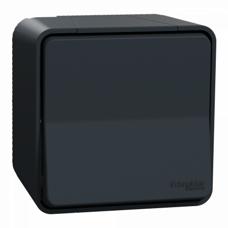 Mureva Styl - Va et vient - saillie - IP55 - IK08 - connexion auto - gris