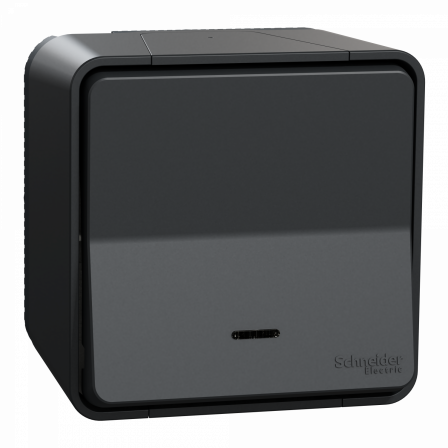 Mureva Styl - Va et vient lumineuxLED - saillie - IP55 IK08 - connex auto - gris