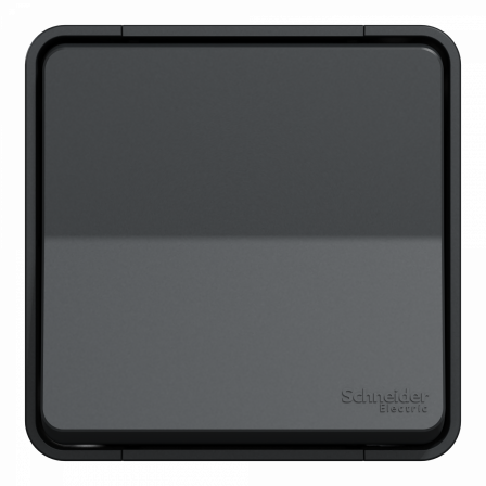 Mureva Styl - Bouton poussoir - saillie - IP55 - IK08 - connexion auto - gris