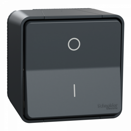 Mureva Styl - Interrupteur bipolaire - saillie - IP55 - IK08 connex auto - gris