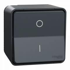 Mureva Styl - Interrupteur bipolaire - saillie - IP55 - IK08 connex auto - gris