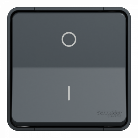 Mureva Styl - Interrupteur bipolaire - saillie - IP55 - IK08 connex auto - gris