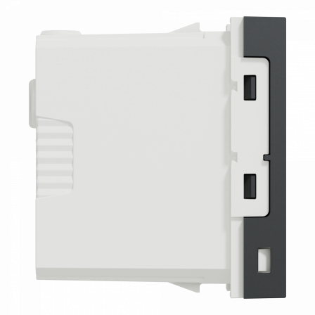 Unica - chargeur USB double - 15W - type A+C - 1 module - anthracite - méca seul