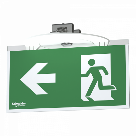 Exiway Smartbeam - Bloc d'évacuation encastré SATI 45lm - 1h - IP42 - IK04