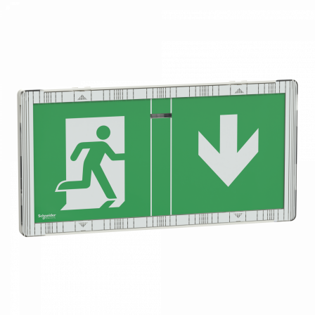 Dicube Exiway Smart - BAES adressable évacuation - IP65 - LED - 45lm - LiFePO4