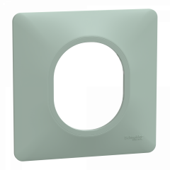 Ovalis - plaque de finition - 1 poste - sauge