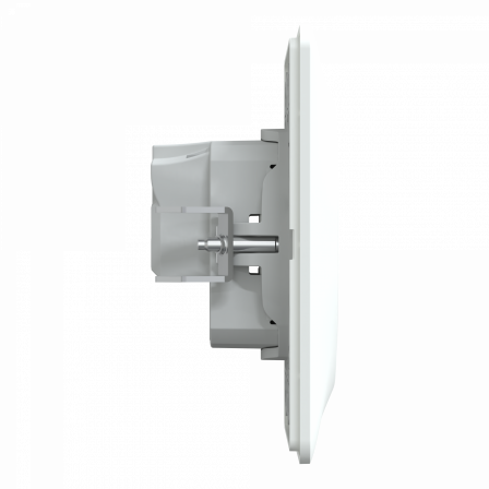 Ovalis - prise à puits - 2P - 16A - bornes vis - Blanc - avec griffes - plaque