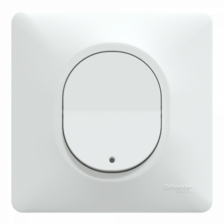 Ovalis - poussoir ferm lumineux - 10AX - LED bleu 250V - Blanc - griffe - plaque