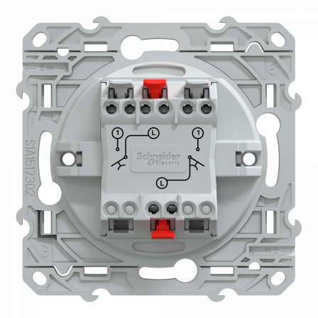 Ovalis - double poussoir fermeture - 10AX - Anthracite