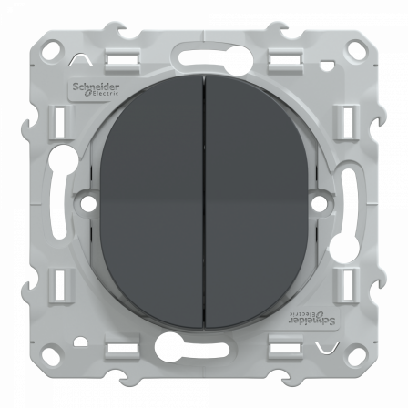 Ovalis - double poussoir fermeture - 10AX - Anthracite