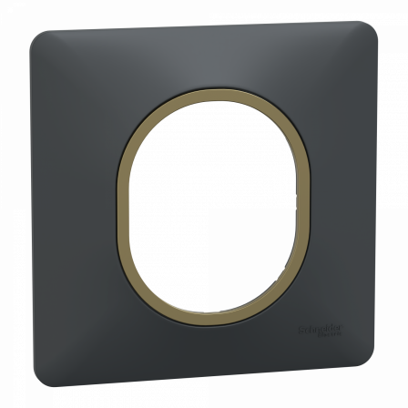 Ovalis - Plaque de finition - 1 poste Anthracite bague effet Laiton