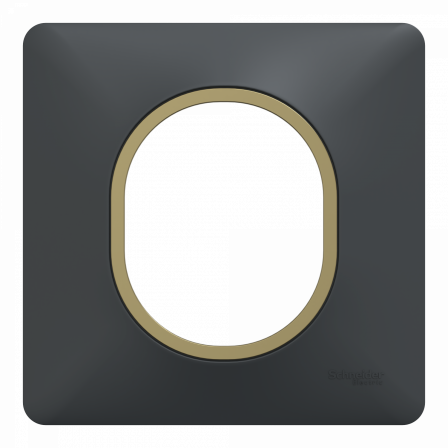 Ovalis - Plaque de finition - 1 poste Anthracite bague effet Laiton