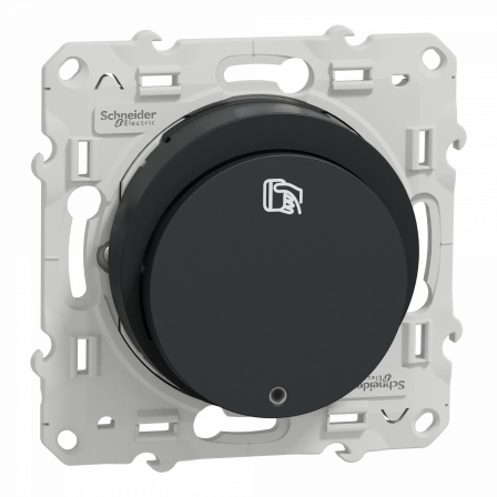 Odace - interrupteur à carte 10A - anthracite