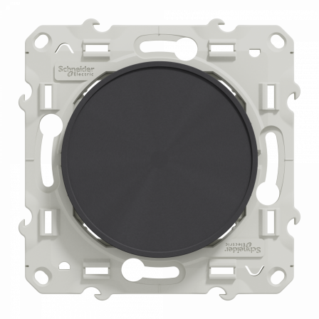 Odace - Obturateur - anthracite - fixation par vis