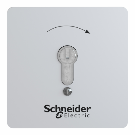 Harmony XAPS - boîte à boutons - encastrable - inviolable - à serrure