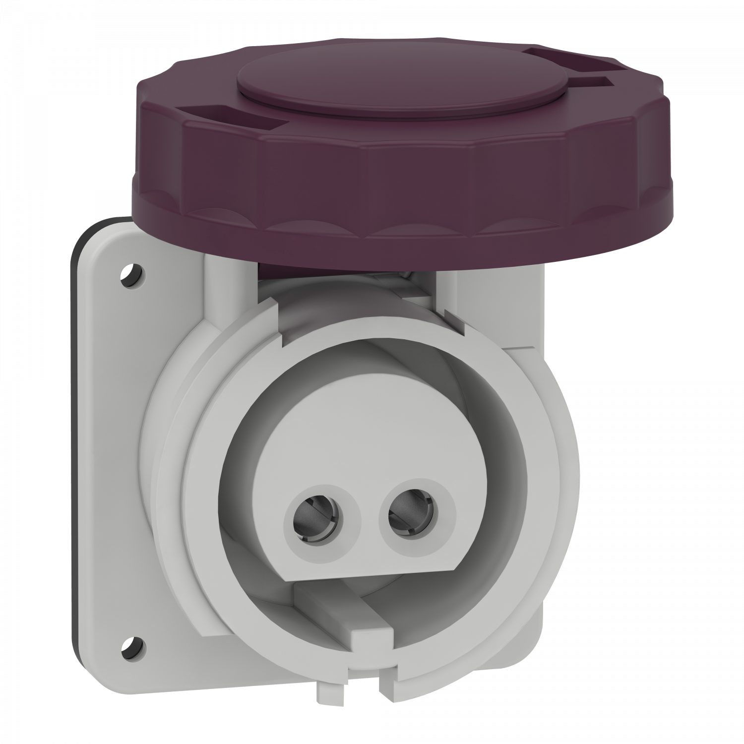 Mureva - socle de priseindustrielle droite - 16 A - 2P - 20-25 V CA - IP67