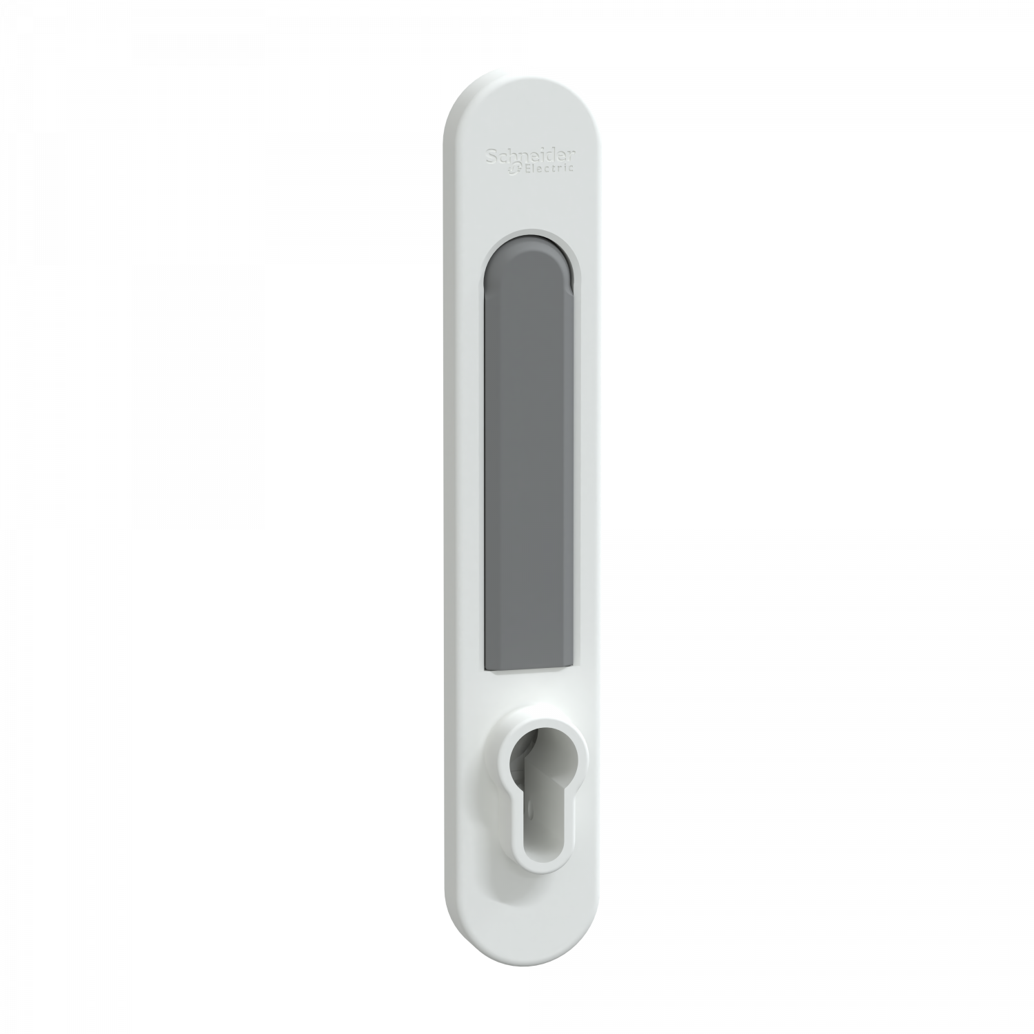 PrismaSeT G - Poignée EURO PrismaSeT - IP30 & pack 250 - Blanc RAL9003